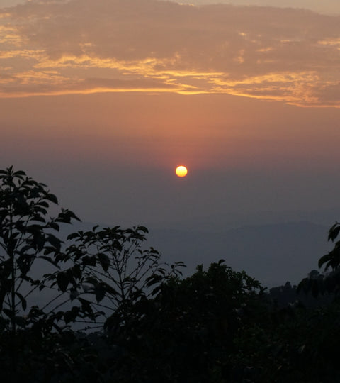 Peru - Gregorio and Isabel Torre