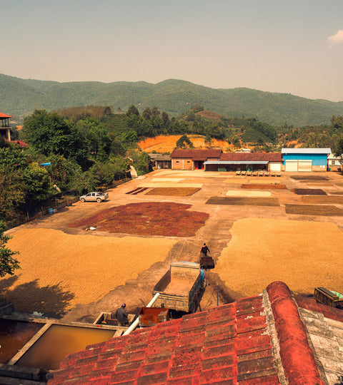 China Story Featured Image