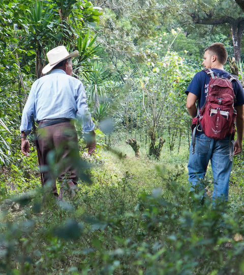 Guatemala - Yepocapa Coffee