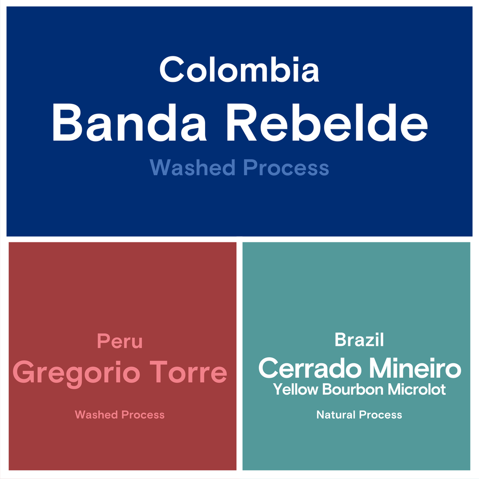 Storyline Bundle : Fall / Winter Edition 2025