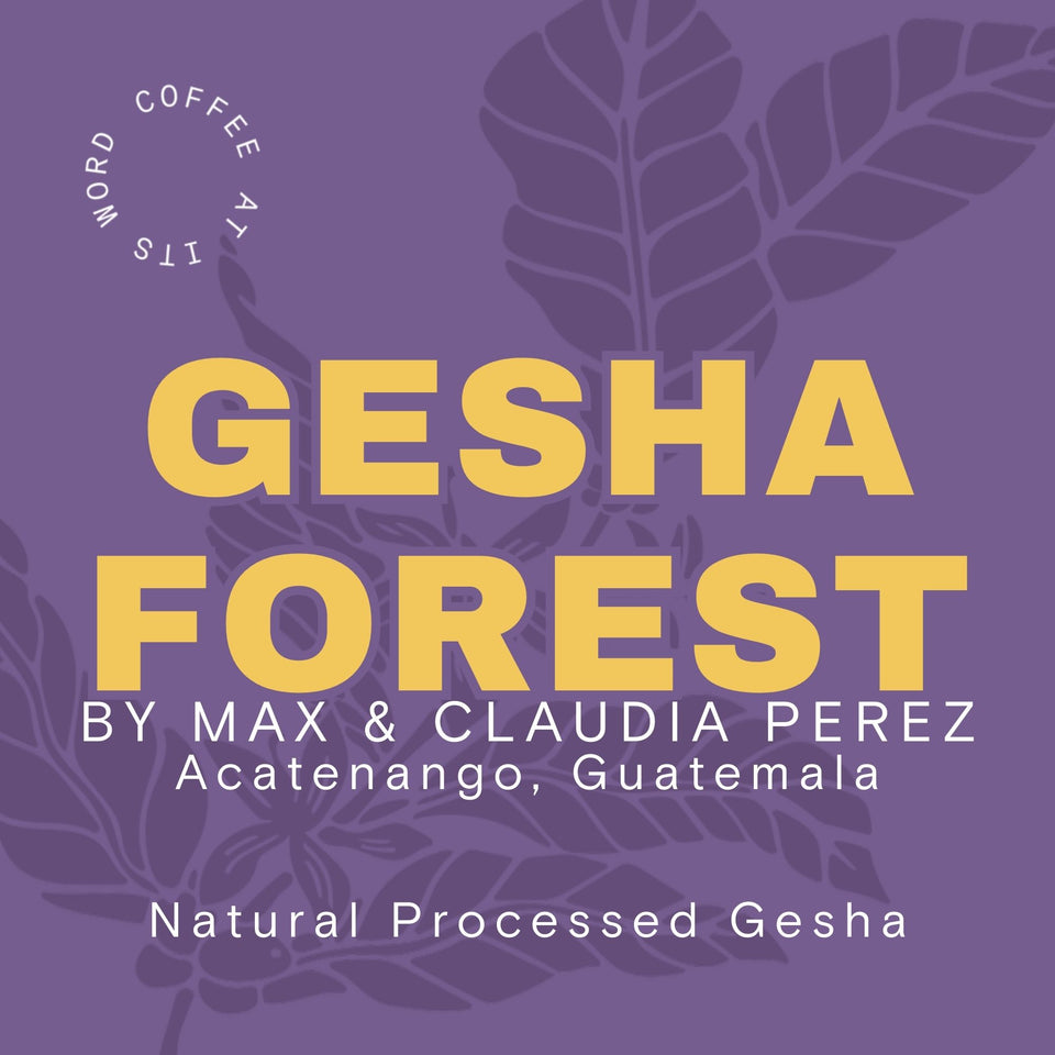 Guatemala | La Hermosa GESHA FOREST - Natural Process Gesha