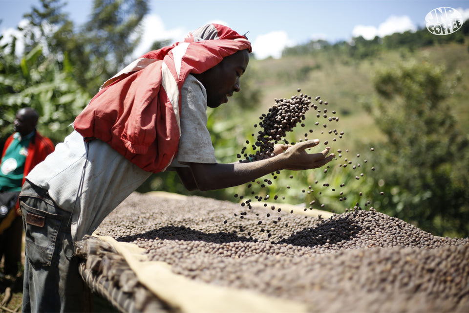 Burundi - Hafi Natural