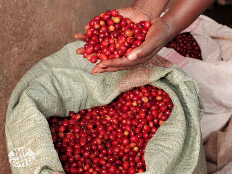 Burundi - Ntwari Natural