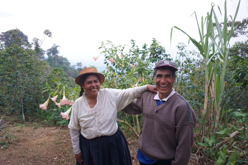 Peru - Pangoa, Junin Gregorio Torre