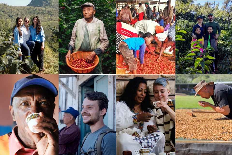 Single Origin Subscription